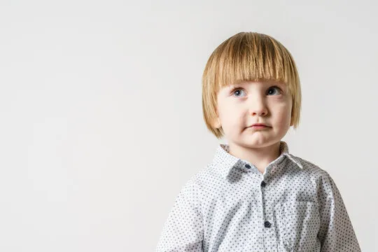 Customer Support Agent